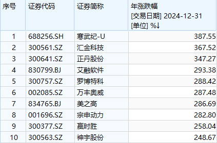 2024年A股十大牛股：寒武纪领涨，AI芯片国产化趋势下的辉煌与隐忧